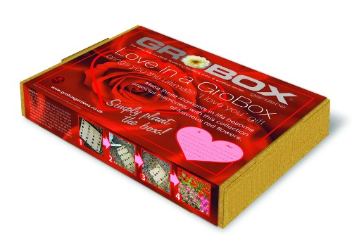 ev-grobox